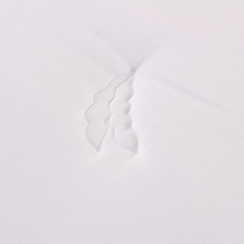 Pure Color Soybean Polyester Winter Quilt Manufacturers, Pure Color Soybean Polyester Winter Quilt Factory, Supply Pure Color Soybean Polyester Winter Quilt