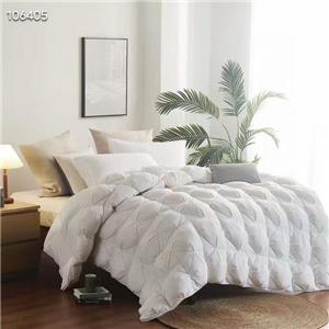 80s Twist Soybean Goose Velvet Quilting Winter Quilt